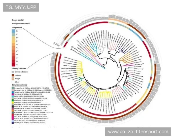比赛焦点:关键生态位争夺影响整局战术选择解析,生态系统的关键度指数